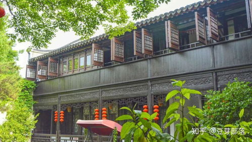 旅行Plog 風起蘆葦蕩，心動沙家浜