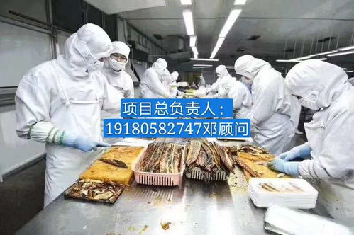 普瑞瑪扳手泵 報價、廠家與軟件代理服務(wù)全解析